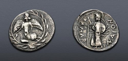 Lot 5100 image