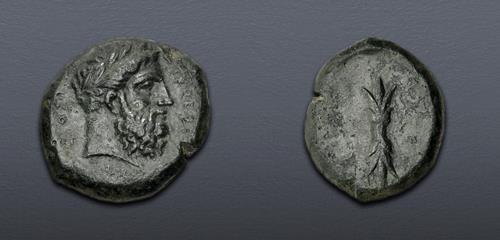 Lot 5111 image