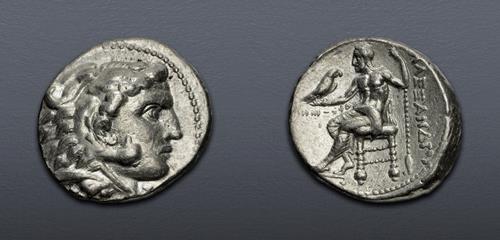 Lot 5203 image