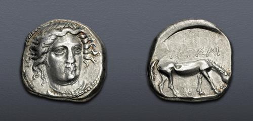 Lot 5216 image