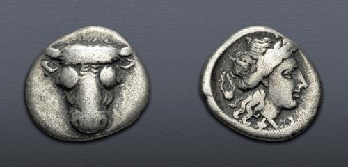 Lot 5239 image