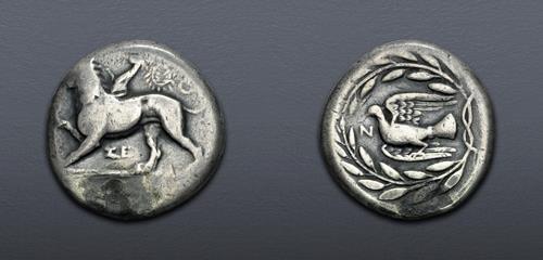 Lot 5308 image