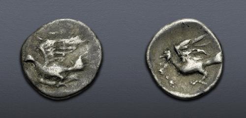 Lot 5311 image