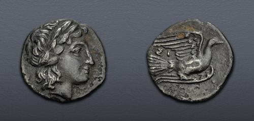 Lot 5312 image
