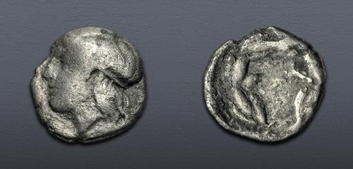 Lot 5319 image