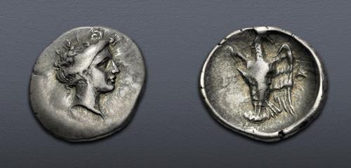 Lot 5329 image