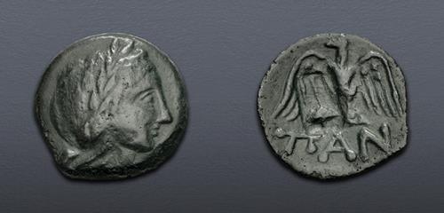 Lot 5346 image
