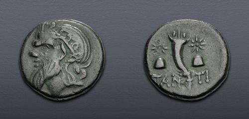 Lot 5347 image