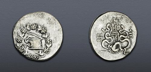 Lot 5365 image