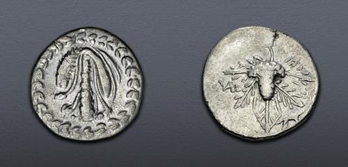 Lot 5464 image