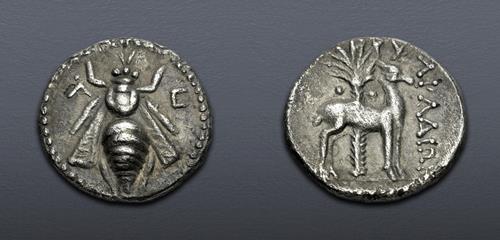 Lot 5608 image