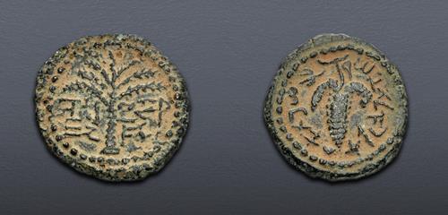 Lot 5636 image