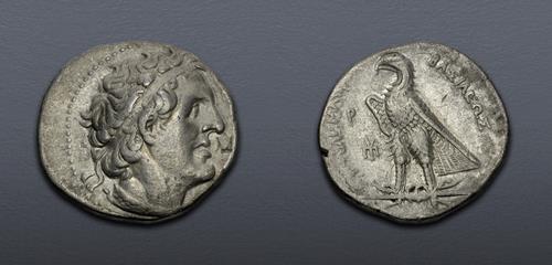 Lot 5658 image