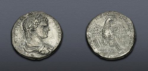 Lot 5794 image