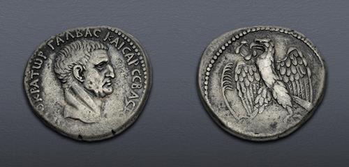 Lot 5803 image