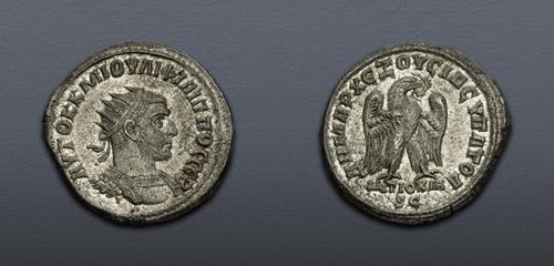 Lot 5811 image