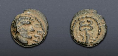 Lot 5835 image