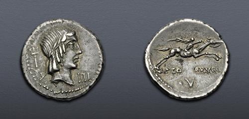 Lot 6017 image