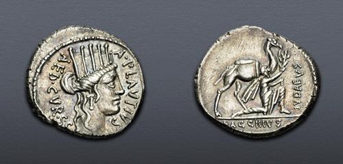 Lot 6051 image