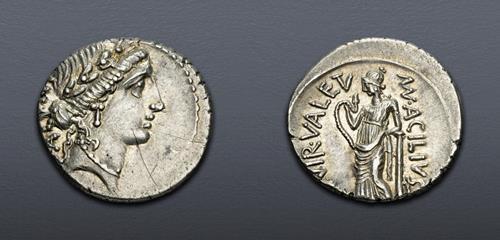 Lot 6055 image