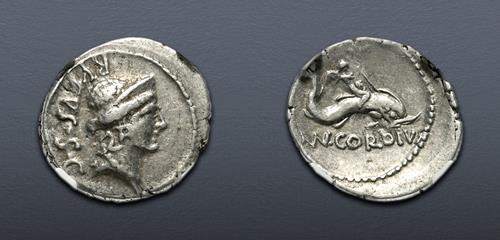 Lot 6061 image