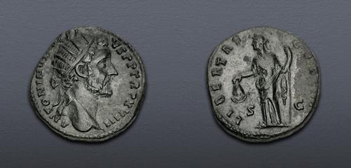 Lot 6205 image