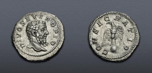 Lot 6243 image
