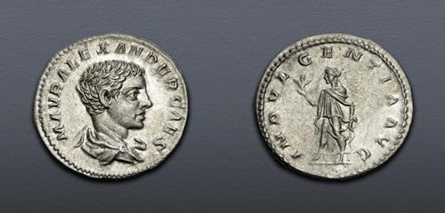 Lot 6259 image