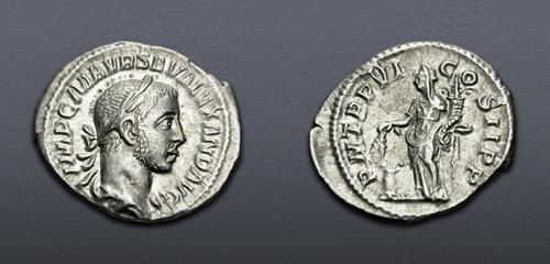 Lot 6262 image