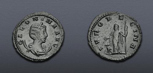 Lot 6295 image