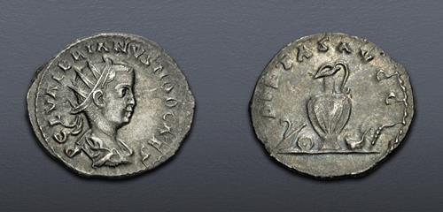 Lot 6296 image