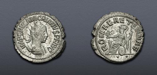 Lot 6298 image