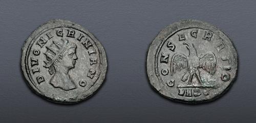 Lot 6306 image