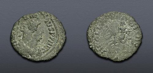 Lot 6317 image