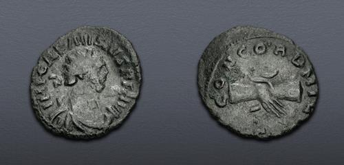 Lot 6323 image