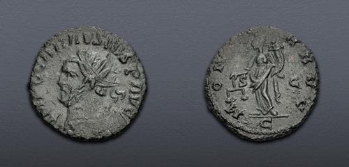 Lot 6327 image