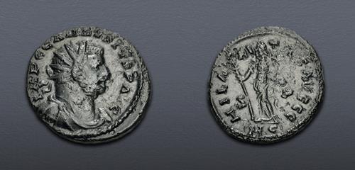 Lot 6329 image