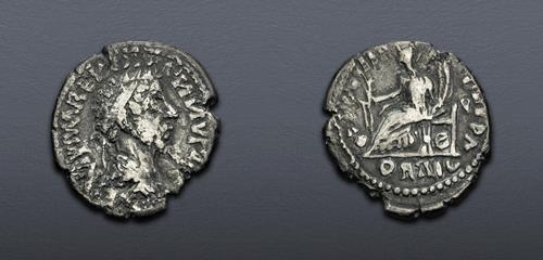 Lot 6448 image