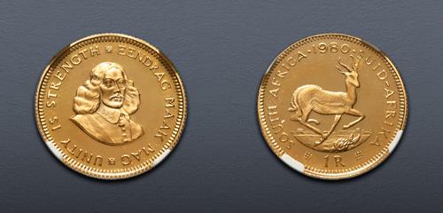 Lot 6596 image