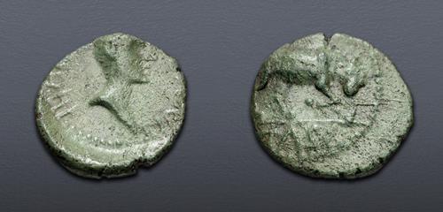 Lot 6727 image