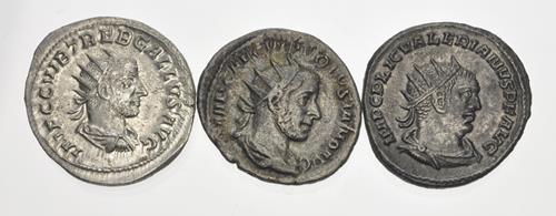 Lot 6856 image
