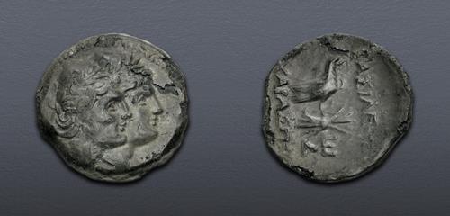 Lot 24 image