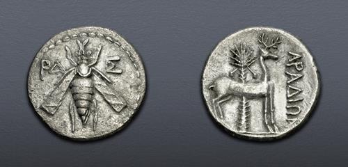 Lot 307 image