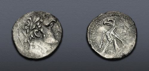 Lot 311 image