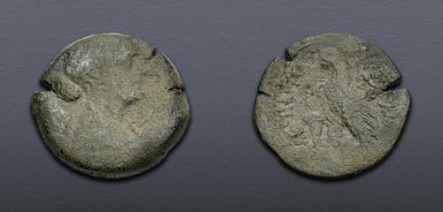 Lot 355 image