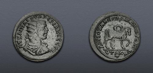 Lot 517 image