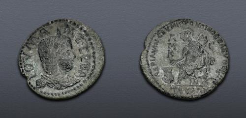 Lot 520 image