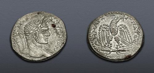 Lot 551 image