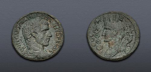 Lot 556 image