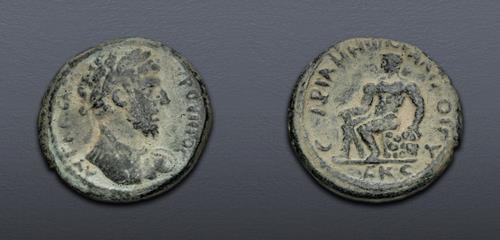 Lot 557 image